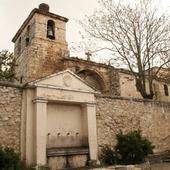 Un pueblo de Burgos alquila un viñedo durante 20 años