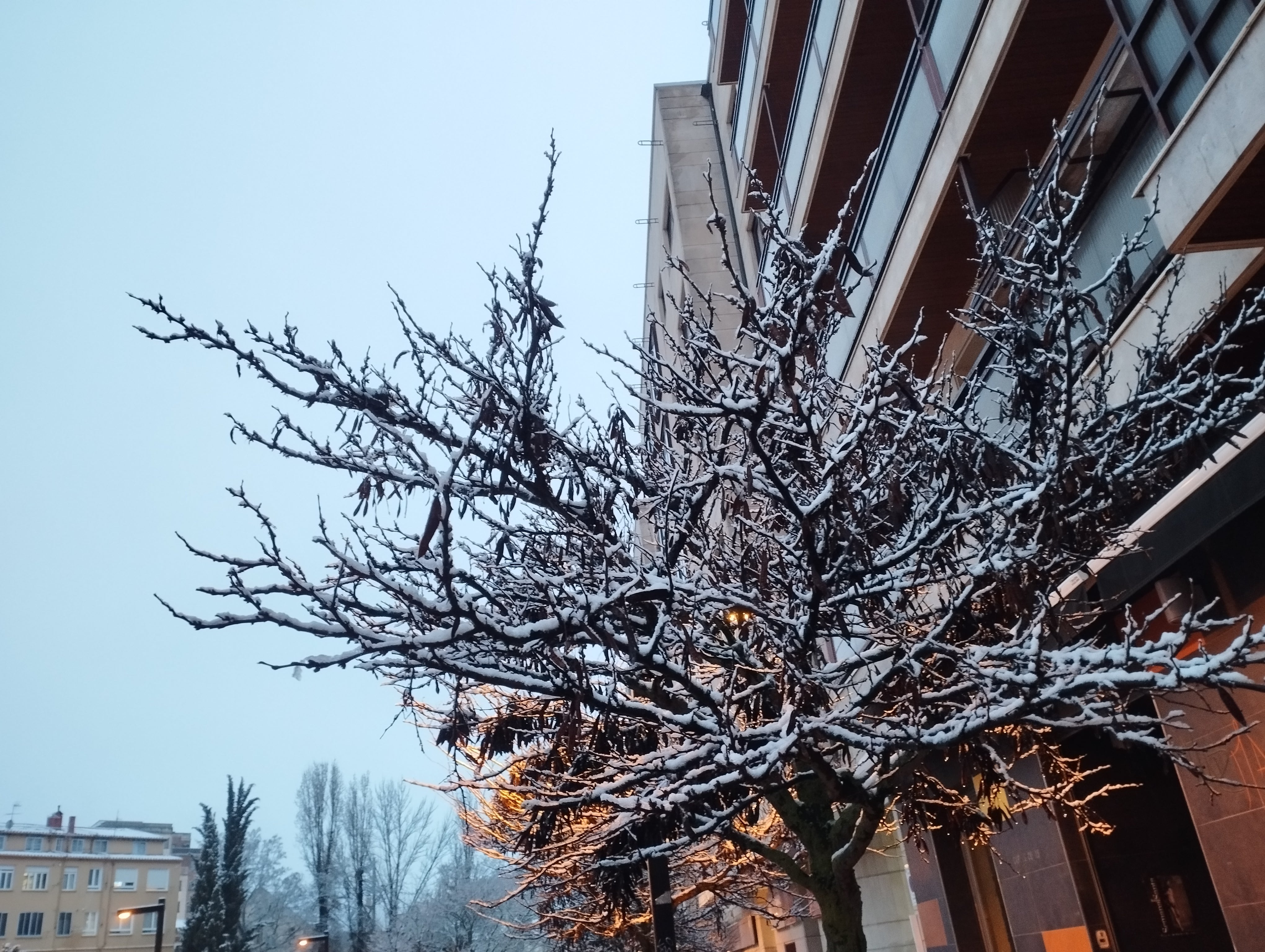 La nieve en Burgos, en imágenes