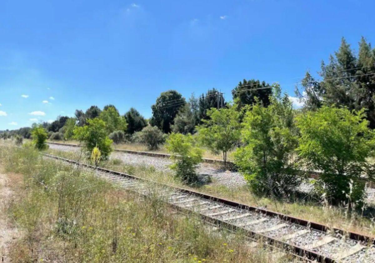 Vía Burgalesa achaca a Puente «falta de voluntad política» para la reapertura del Tren Directo