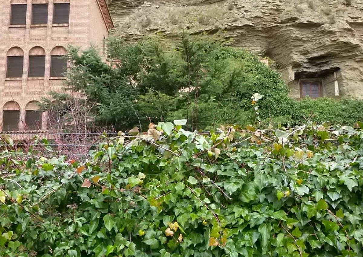 Imagen secundaria 1 - Iglesia de San Pedro, Cuevas de Caprasio, San Valentín y Santa Pía y Castillo.