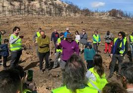 Un grupo de voluntarios planta sabinas, el año pasado, en la zona afectada por el fuego.