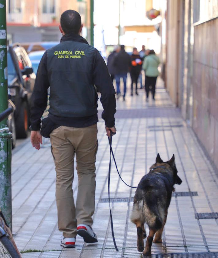 Imagen secundaria 2 - Despliegue de la Guardia Civil en la calle Abad Maluenda de Burgos. 