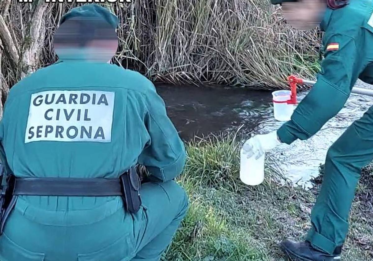 Recogida de muestras por parte del Seprona en una planta de residuos de la Ribera del Duero.