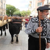 La Cabaña Real de Carreteros inicia este viernes su Ruta Carreteril para reivindicar la Suerte de Pinos