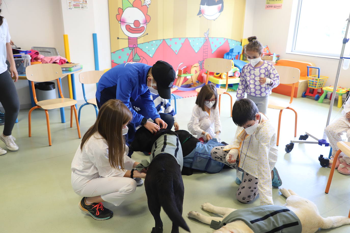 La terapia con perros para los niños hospitalizados en Burgos, en imágenes