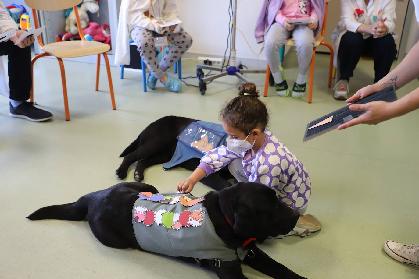 La terapia con perros para los niños hospitalizados en Burgos, en imágenes