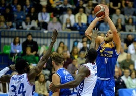 Imagen del encuentro que disputaron el San Pablo Burgos y el HLA Alicante en el Coliseum.