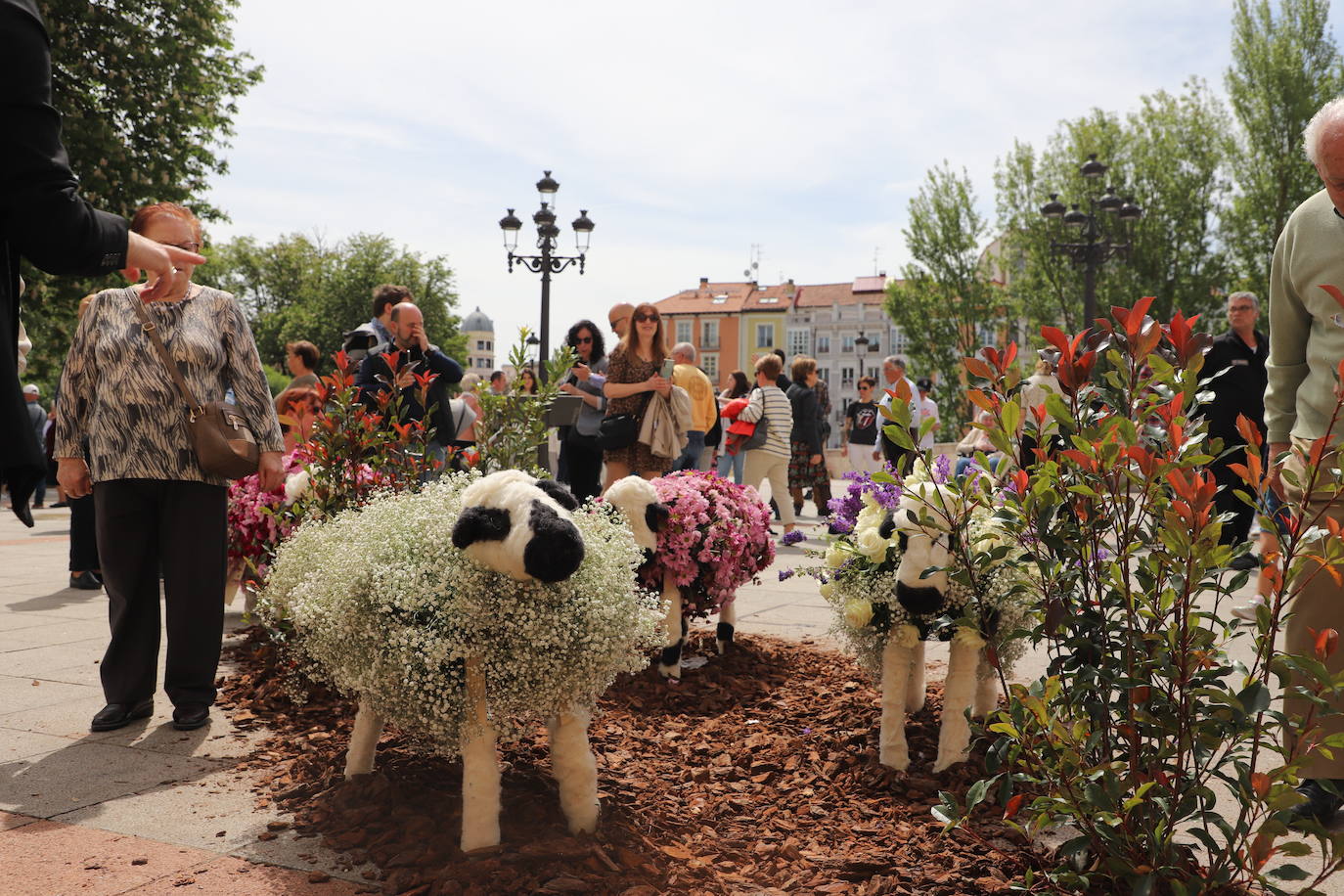 La Fiesta de las Flores de Burgos, en imágenes