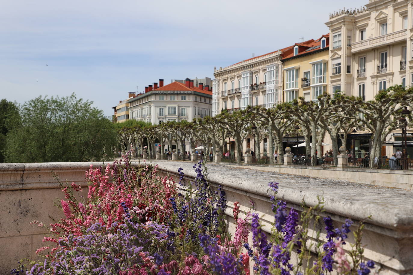 La Fiesta de las Flores de Burgos, en imágenes