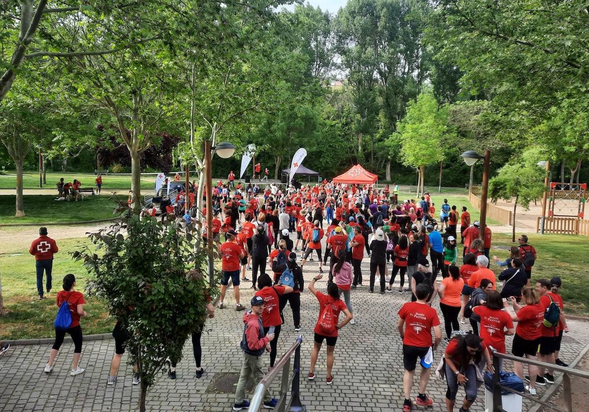 La marcha solidaria de Cruz Roja en Aranda de Duero.