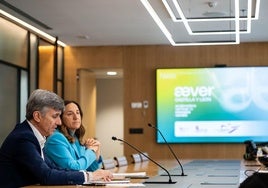 Presentación del programa æver.