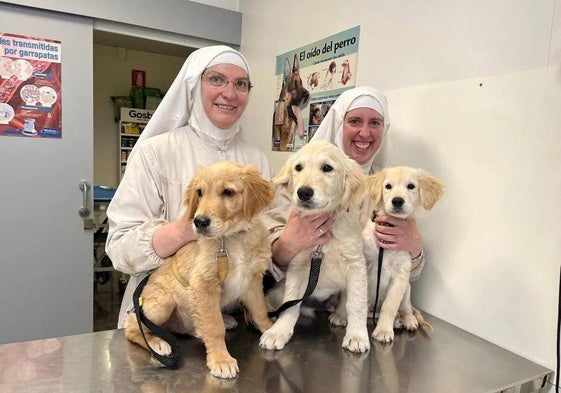 Imagen compartida en Proanbur de una de las monjas de Belorado con los perros del criadero.