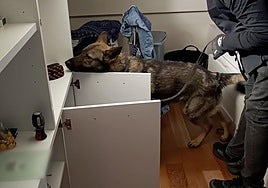 Registro de la vivienda del detenido.