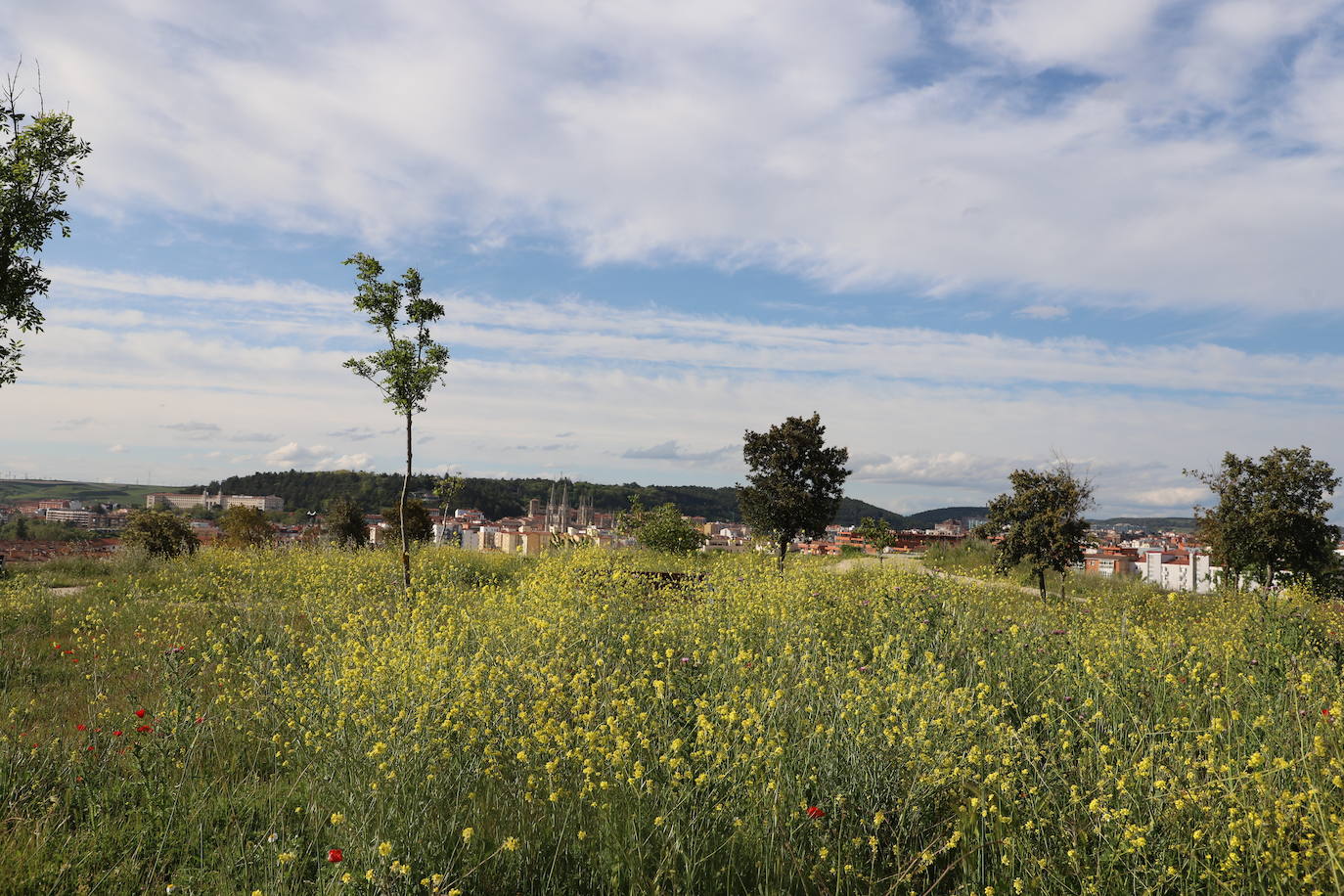 Imágenes del abandono del parque de San Isidro en Burgos