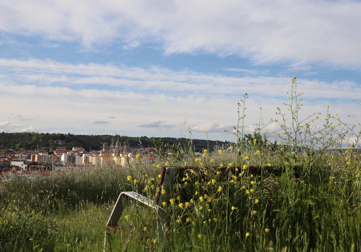 Imágenes del abandono del parque de San Isidro en Burgos