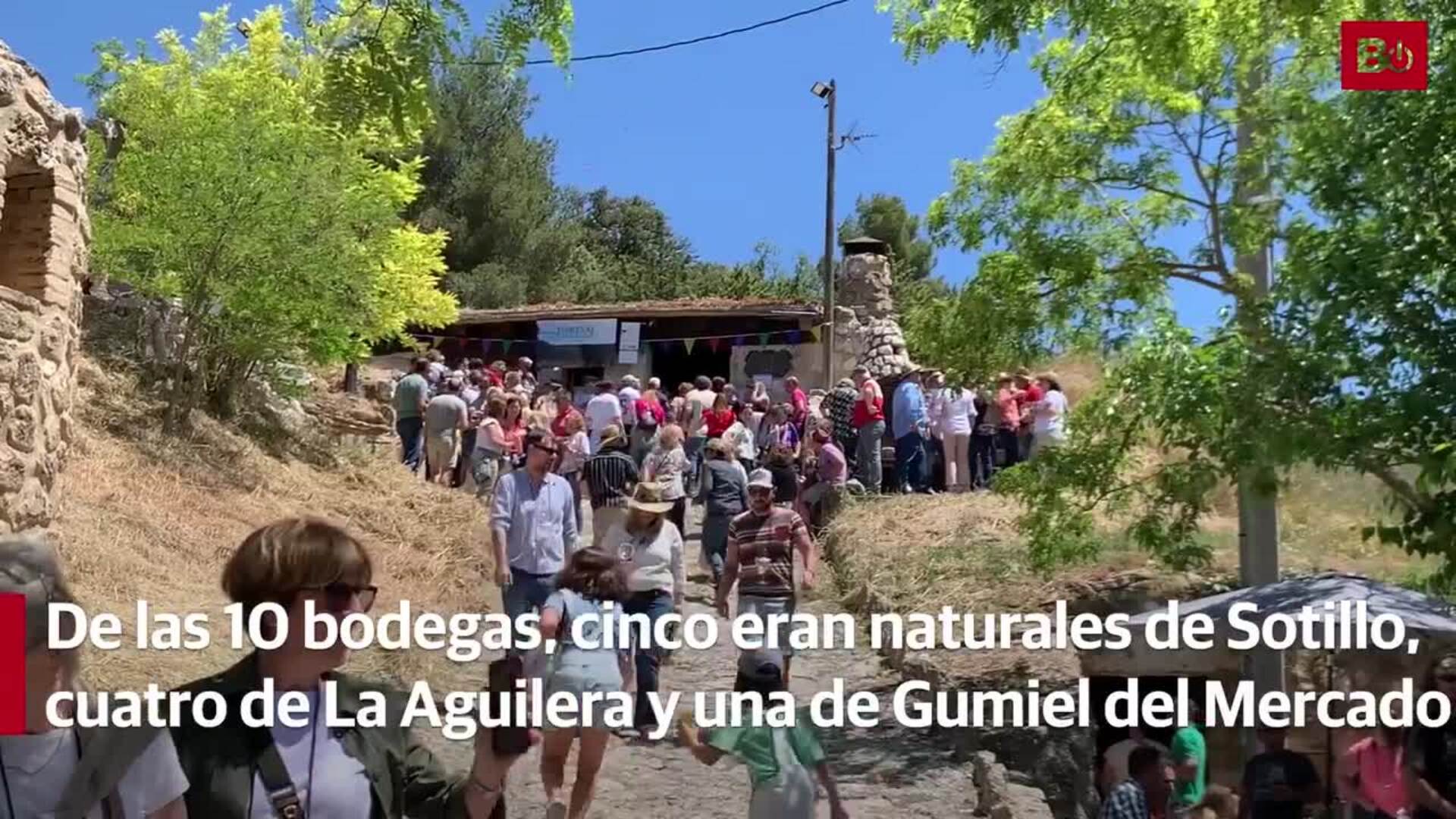 La V Feria 'Sotillo, el vino y yo' se ha celebrado con más de diez casetas de bodegas diferentes