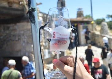 1.500 amantes del vino se unen en la Feria del Vino de Sotillo de la Ribera