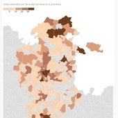 El 74% de los pueblos de Burgos vota a Alvise Pérez