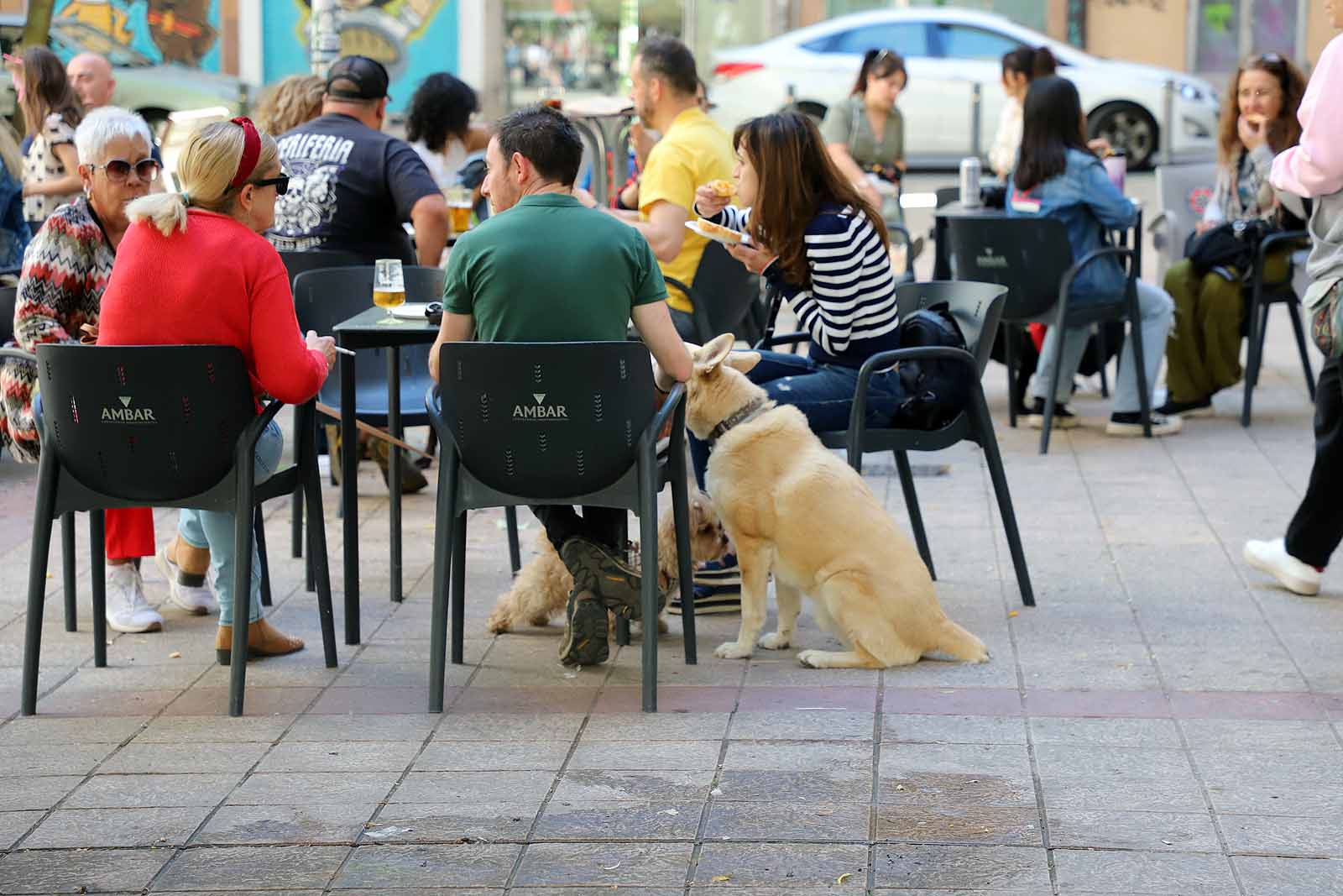 Jugar para aprender a cuidar y respetar a los animales