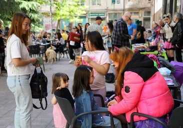 Una fiesta para apoyar a los rescatadores de gatos de Burgos