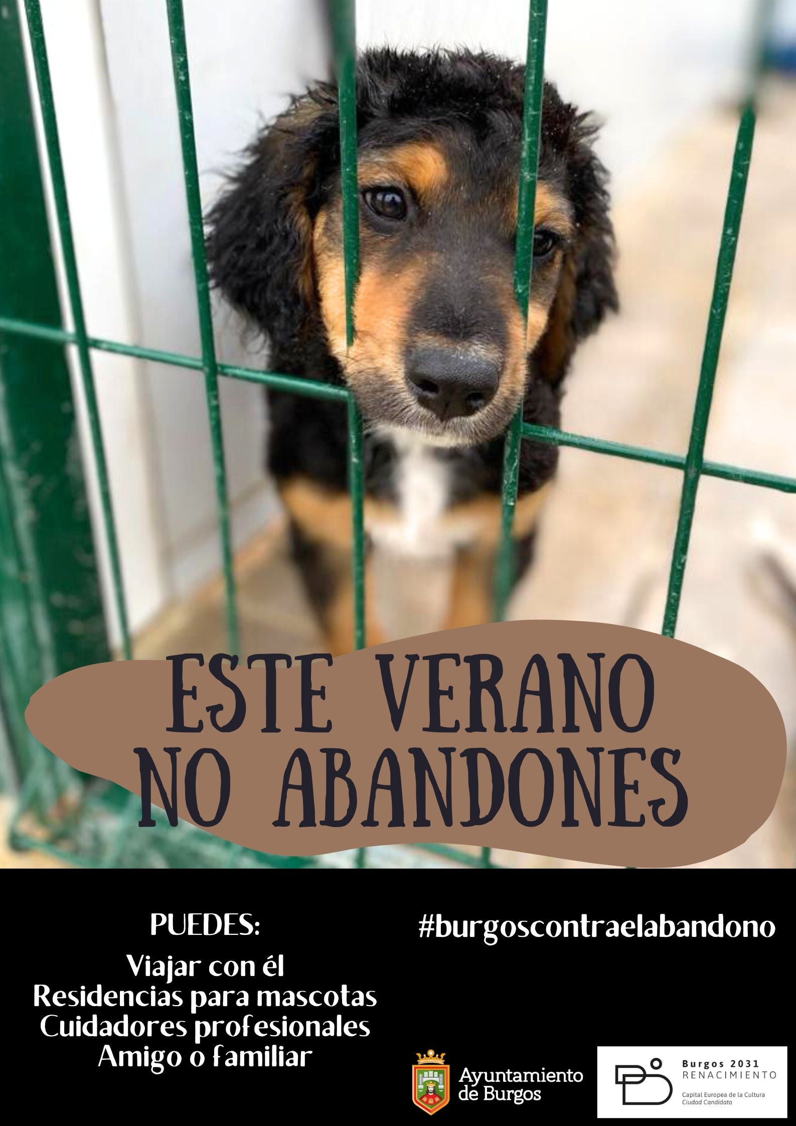 Cartel de la campaña contra el abandono.