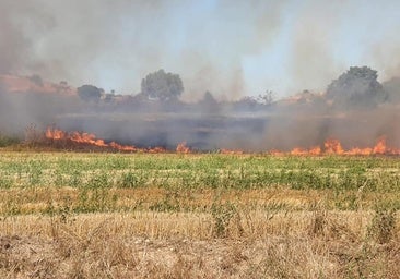 33 incendios calcinan 446,7 hectáreas en Burgos entre enero y mayo