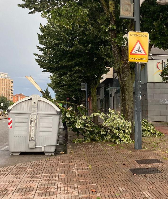 Imagen secundaria 2 - Ramas caídas por la tormenta en Burgos. 