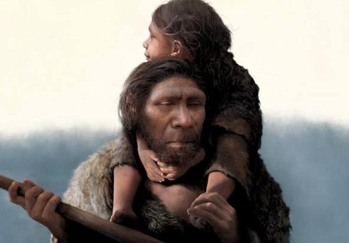 Demostrada, por primera vez, la presencia de individuos con síndrome de  Down entre los neandertales | BURGOSconecta