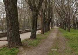 Parque de la Isla, en Burgos.