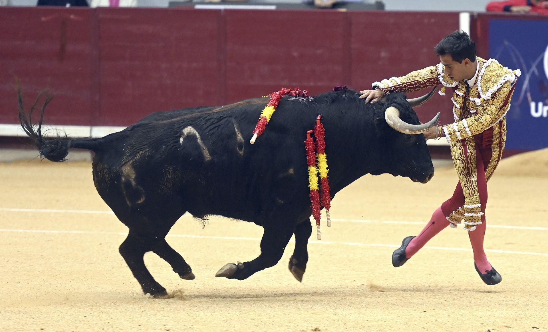 Algunas de las imágenes de la primera corrida de toros de los Sampedros