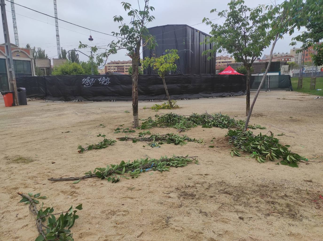 Este es el estado del entorno del hangar que ha despertado las quejas de los vecinos