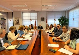 Reunión del Consejo de Salud de Área.