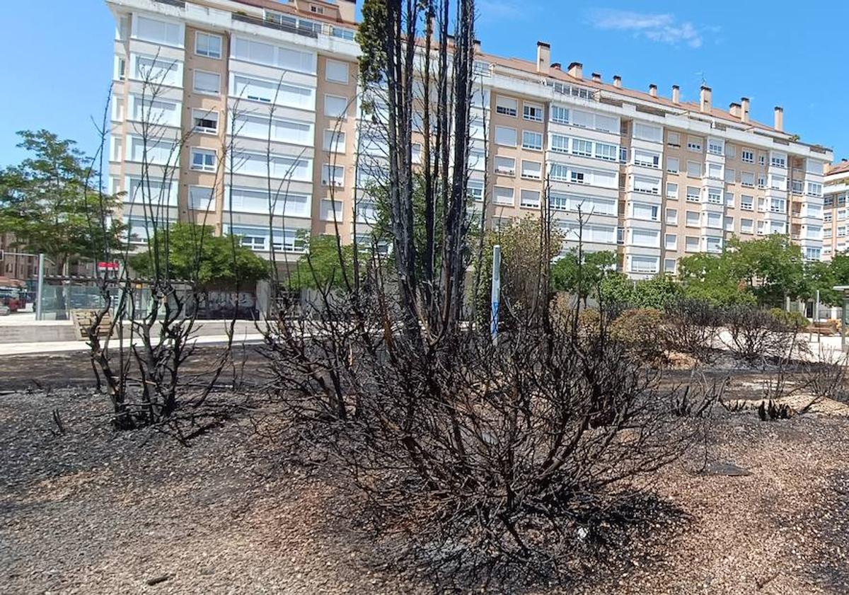 Imagen principal - Los Bomberos han evitado que el incendio se propagara. 