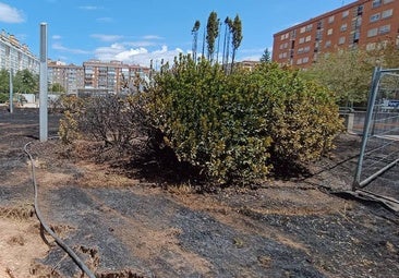 Un incendio en el parque Félix Rodríguez de la Fuente activa las alarmas en Gamonal