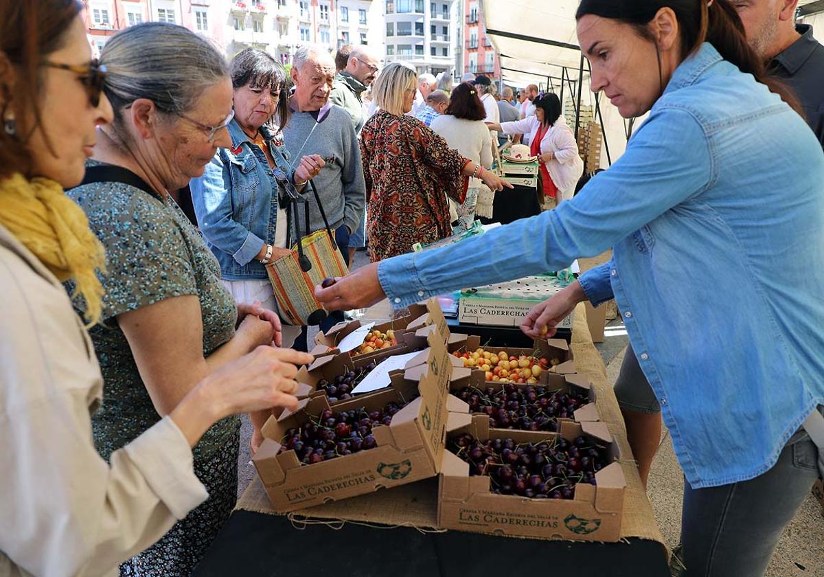 Así ha sido la feria de la cereza del Valle de las Caderechas en Burgos