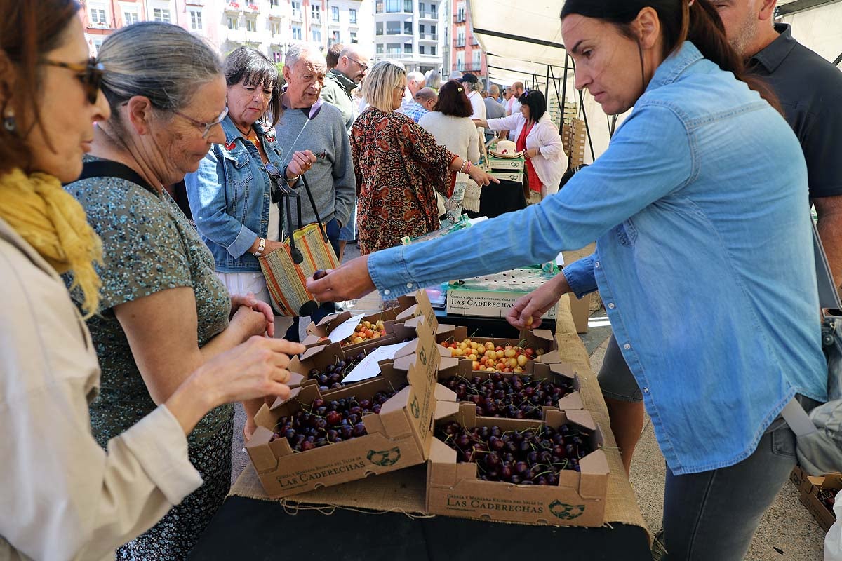 Así ha sido la feria de la cereza del Valle de las Caderechas en Burgos