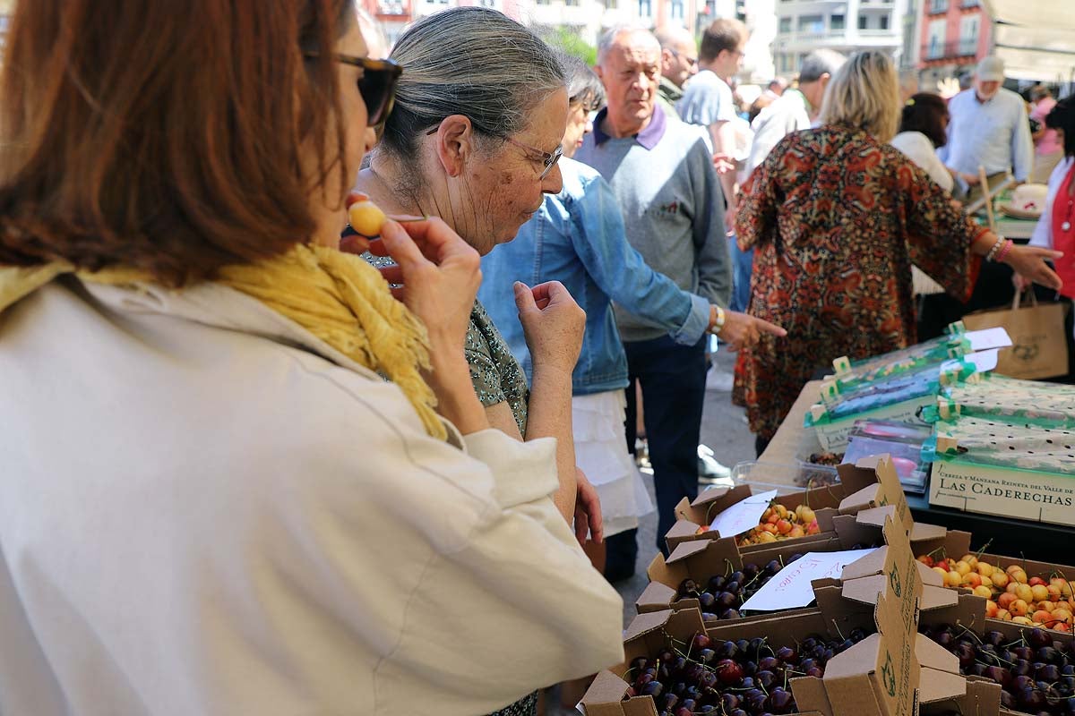 Así ha sido la feria de la cereza del Valle de las Caderechas en Burgos