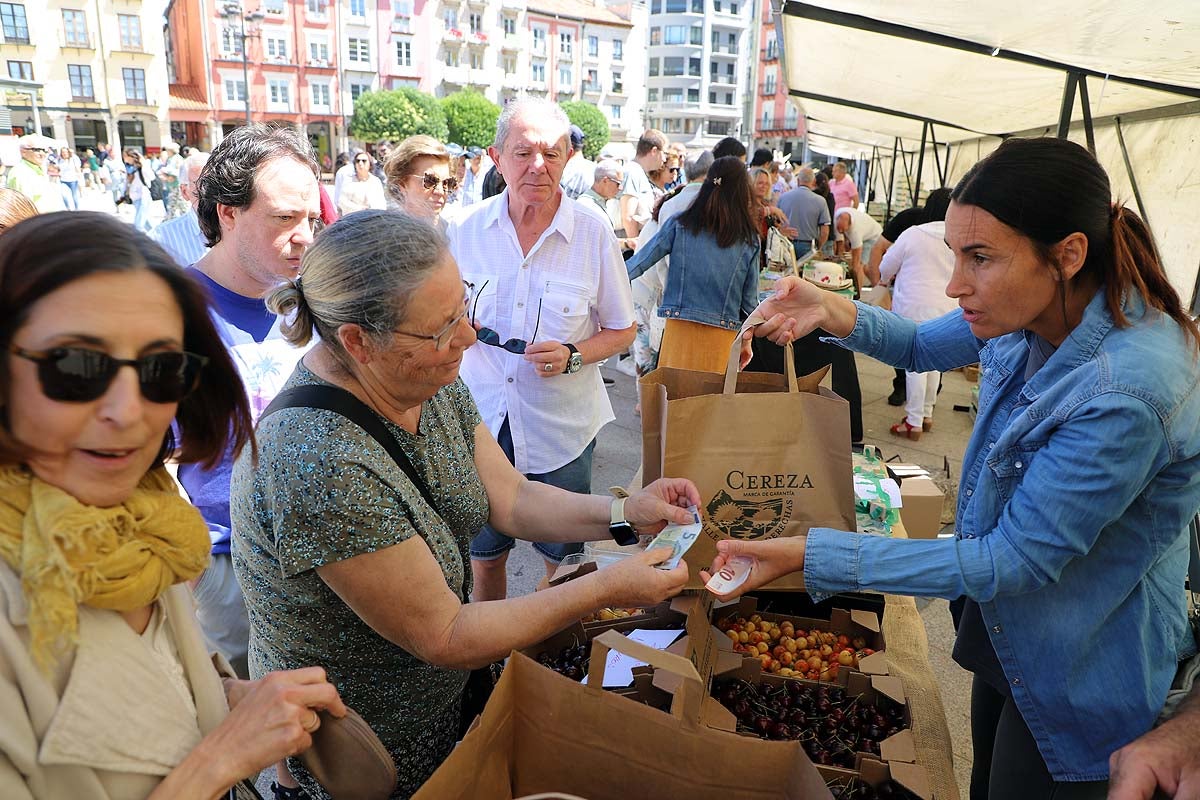 Así ha sido la feria de la cereza del Valle de las Caderechas en Burgos