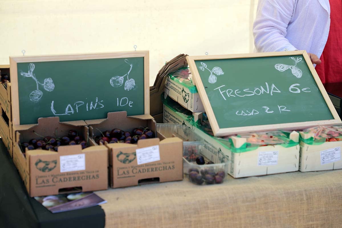 Así ha sido la feria de la cereza del Valle de las Caderechas en Burgos