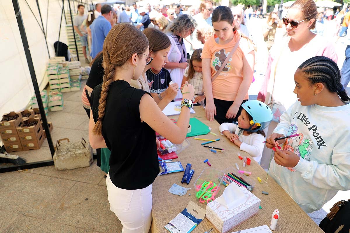 Así ha sido la feria de la cereza del Valle de las Caderechas en Burgos