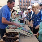 Una cereza de calidad y con buena producción conquista Burgos