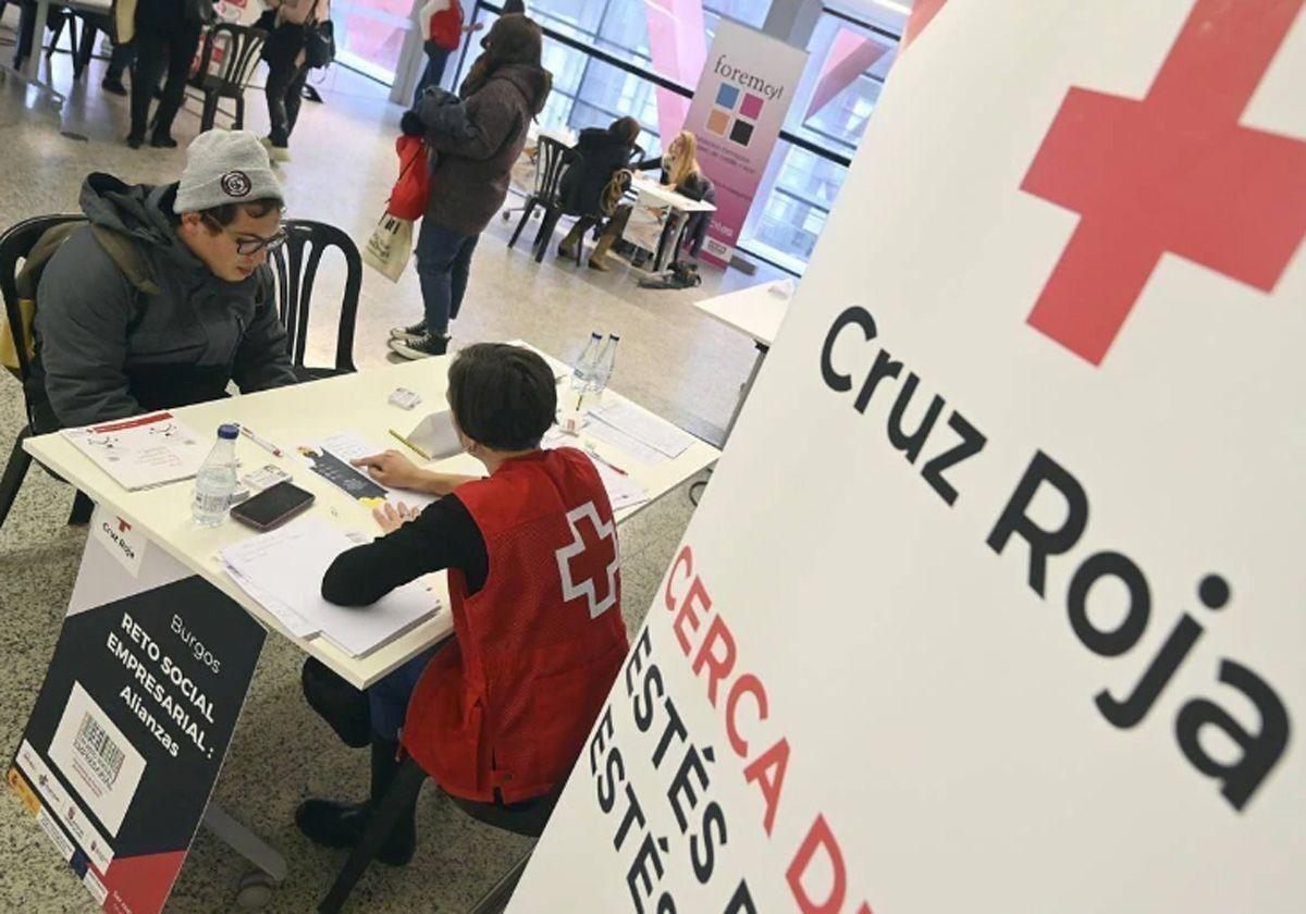 Voluntario de Cruz Roja asesora a un voluntario.