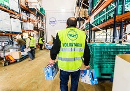 Voluntarios del Banco de Alimentos de Burgos.