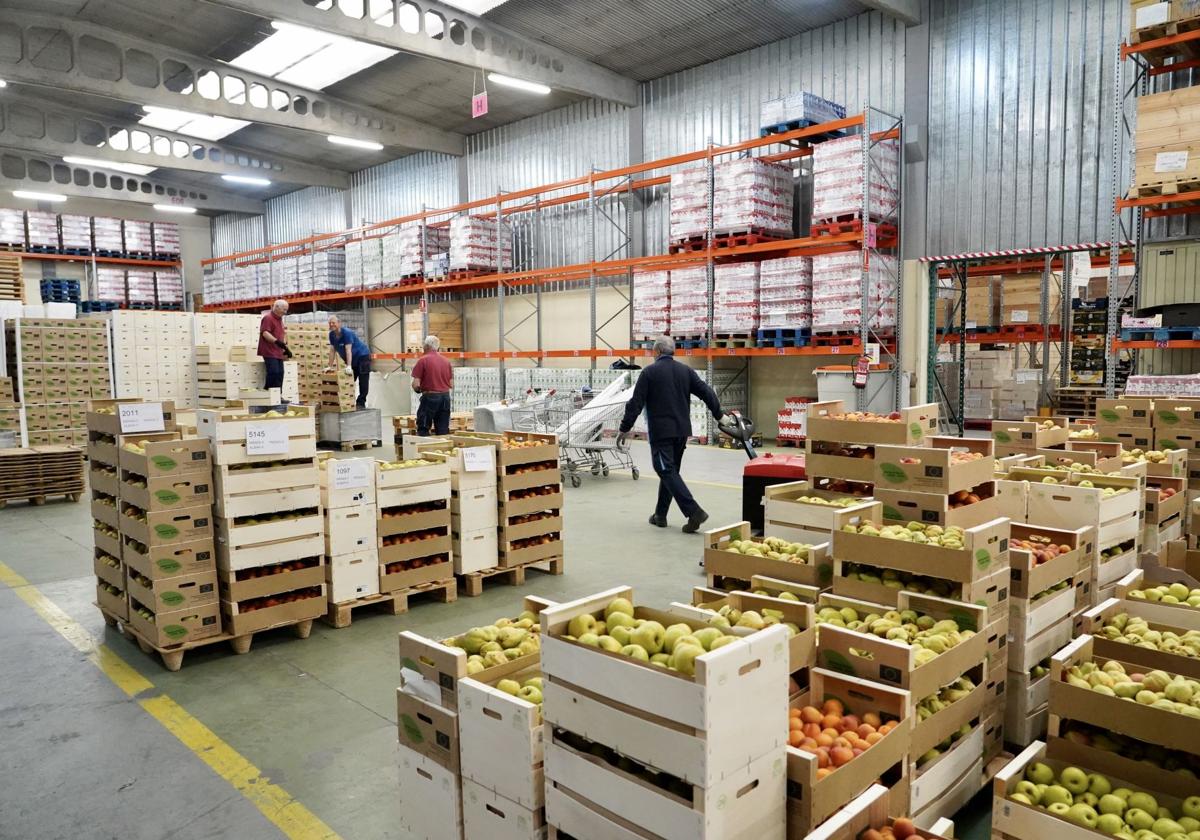 Recogida de alimentos de la Fundación del Banco de Alimentos de Valladolid.