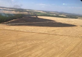 Imagen del incendio de Lerma de este domingo.