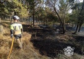 La rápida actuación de los Bomberos permitió controlar las llamas antes de que se propagaran.