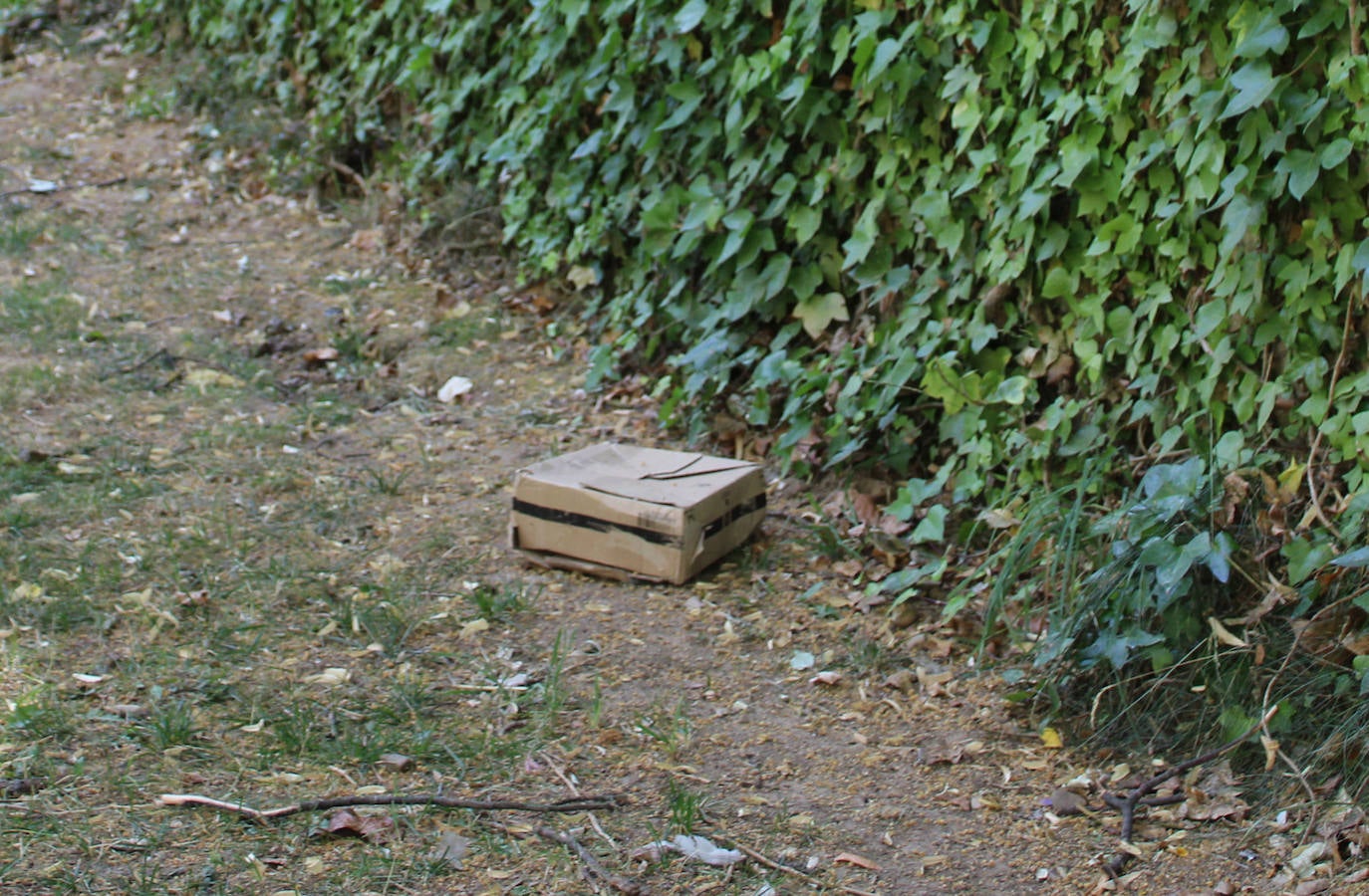 La basura se acumula en la ribera del Arlanzón en Burgos