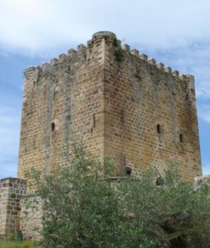 Imagen secundaria 2 - Detalles del castillo a la venta en Burgos.