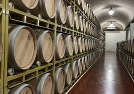 Interior de la Bodega de Viña Pedrosa