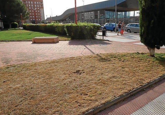 Los jardines de Miranda recibirán el riego mínimo.